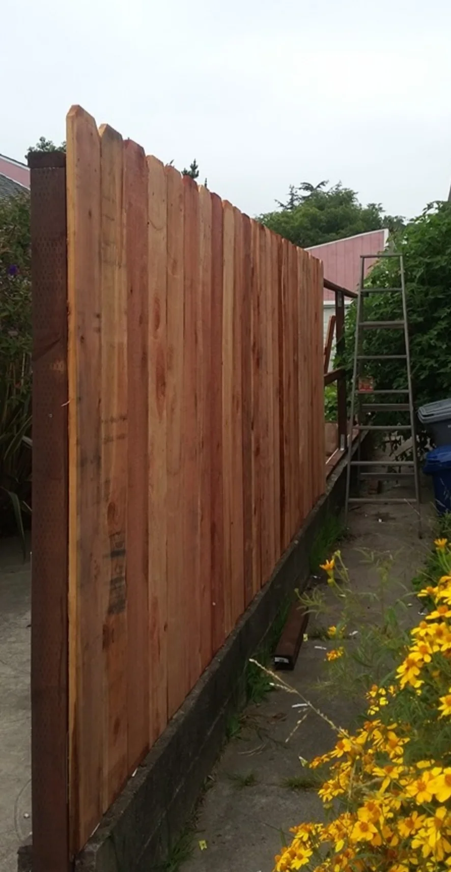 Long side view of a newly built cedar fence